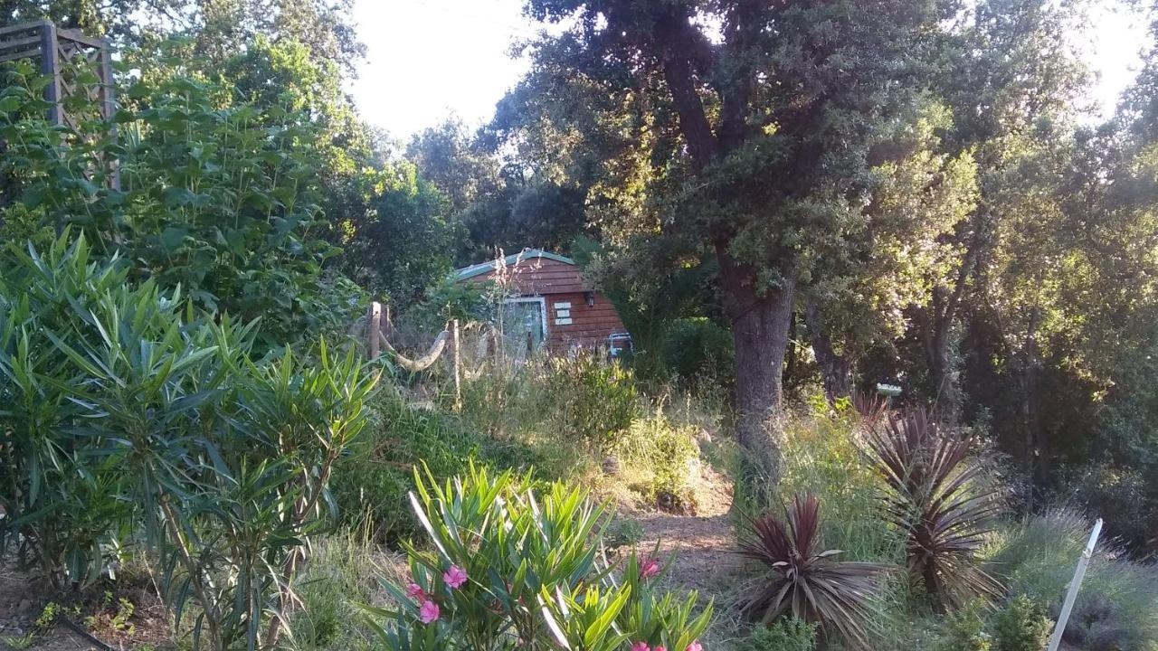 Le Petit Chalet Porticcio  Buitenkant foto